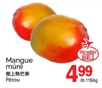 T&T Supermarket MANGUE MÛRE offer