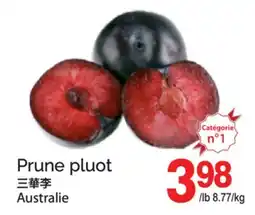T&T Supermarket PRUNE PLUOT offer