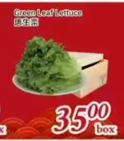 Tone Tai Supermarket Green Leaf Lettuce offer