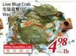 Tone Tai Supermarket Live Blue Crab offer