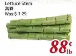Tone Tai Supermarket Lettuce Stem offer