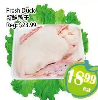 Food Depot Supermarket Fresh Duck offer