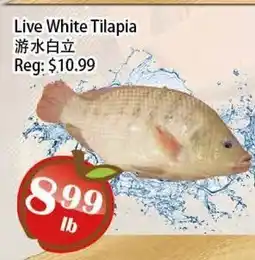 Food Depot Supermarket Live White Tilapia offer
