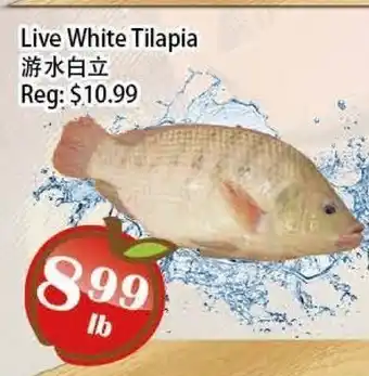 Food Depot Supermarket Live White Tilapia offer