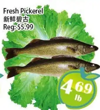 Food Depot Supermarket Fresh Pickerel offer