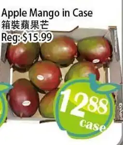 Food Depot Supermarket Apple Mango in Case offer