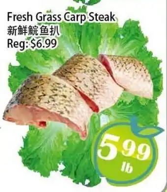 Food Depot Supermarket Fresh Grass Carp Steak offer