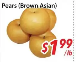 Bestco Food Mart Pears (Brown Asian) offer