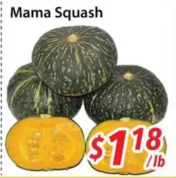 Bestco Food Mart Mama Squash offer