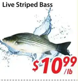 Bestco Food Mart Live Striped Bass offer