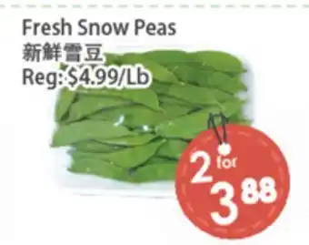 Fresh Palace Supermarket Fresh Snow Peas offer