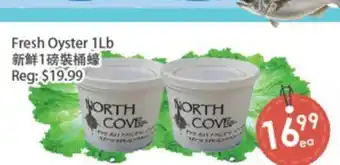 Fresh Palace Supermarket Fresh Oyster 1Lb offer