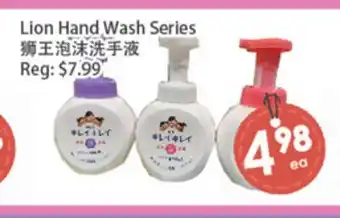 Fresh Palace Supermarket Lion Hand Wash Series offer