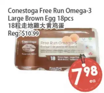 Fresh Palace Supermarket Conestoga Free Run Omega-3 Large Brown Egg 18pcs offer