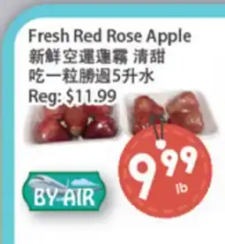 Fresh Palace Supermarket Fresh Red Rose Apple offer