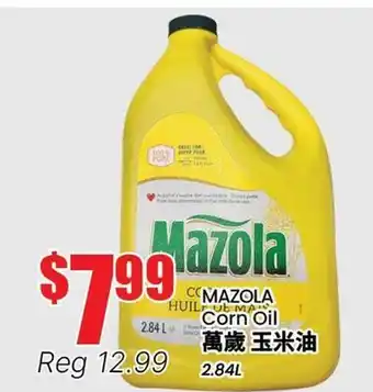 Terra Foodmart MAZOLA Corn Oil offer