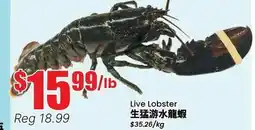 Terra Foodmart Live Lobster offer