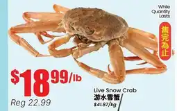Terra Foodmart Live Snow Crab offer