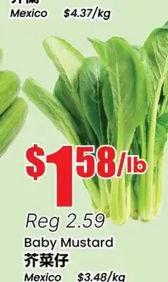 Terra Foodmart Baby Mustard offer