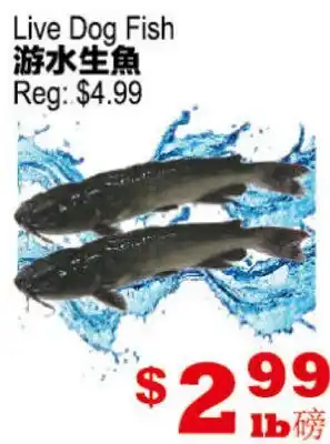 Yuan Ming Supermarket Live Dog Fish offer