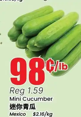 Terra Foodmart Mini Cucumber offer