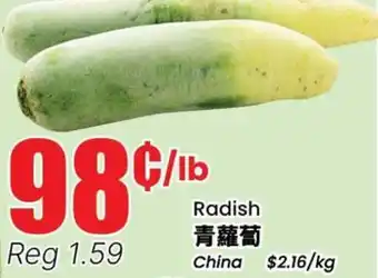 Terra Foodmart Radish offer