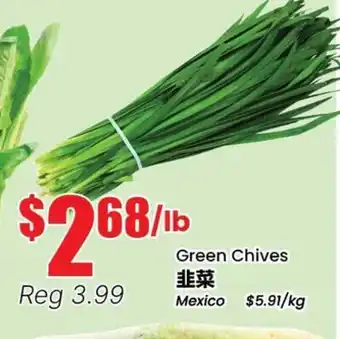 Terra Foodmart Green Chives offer