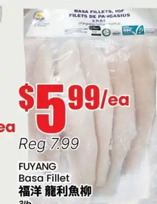 Terra Foodmart FUYANG Basa Fillet offer