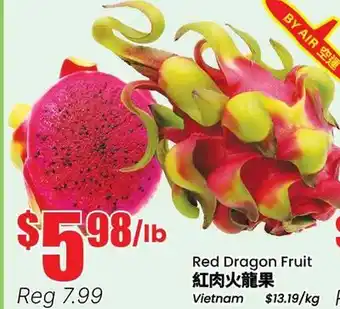 Terra Foodmart Red Dragon Fruit offer