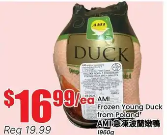 Terra Foodmart AMI Frozen Young Duck from Poland offer