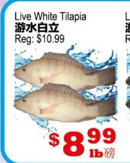 Yuan Ming Supermarket Live White Tilapia offer
