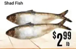 Nations Fresh Foods Shad Fish offer