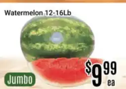 Nations Fresh Foods Watermelon 12-16Lb offer