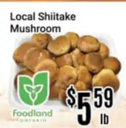 Nations Fresh Foods Local Shiitake Mushroom offer