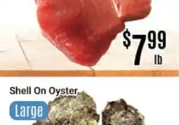 Nations Fresh Foods Shell On Oyster offer