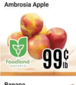 Nations Fresh Foods Ambrosia Apple offer