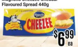 Nations Fresh Foods Magnolia Cheezee Cheddar Flavoured Spread offer
