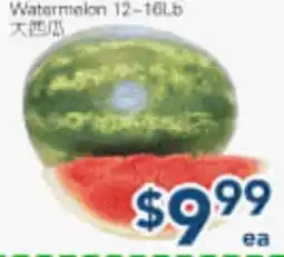 Oceans Fresh Food Market Watermelon offer