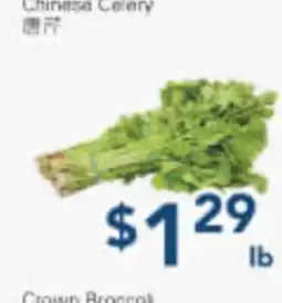 Oceans Fresh Food Market Chinese Celery offer