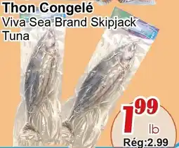Marche C&T Viva Sea Brand Skipjack tuna offer