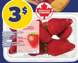 Provigo FRAISES CULTIVÉES EN SERRE PC, 340 G | PC GREENHOUSE GROWN STRAWBERRIES offer