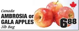 Claytons Heritage Market Ambrosia or gala apples offer