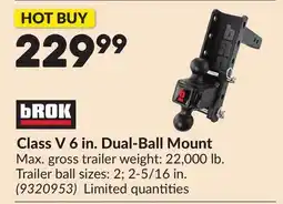Princess Auto Class V 6 in. Dual-Ball Mount offer