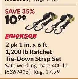 Princess Auto 2 pk 1 in. x 6 1,200 lb Ratchet Tie-Down Strap Set offer