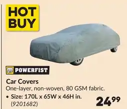 Princess Auto Car Covers offer