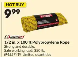 Princess Auto 1/2 in. x 100 ftPolypropylene Rope offer