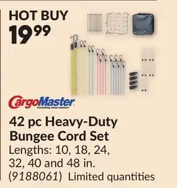 Princess Auto 42 pc Heavy-Duty Bungee Cord Set offer