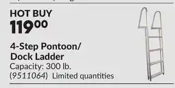Princess Auto 4-Step Pontoon/ Dock Ladder offer