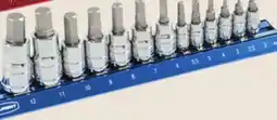 Princess Auto 13 pc Bit Socket Sets offer