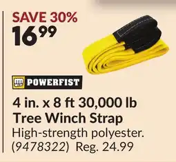 Princess Auto 4 in. x 8 ft 30,000 lb Tree Winch Strap offer
